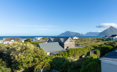 whaleview - 3