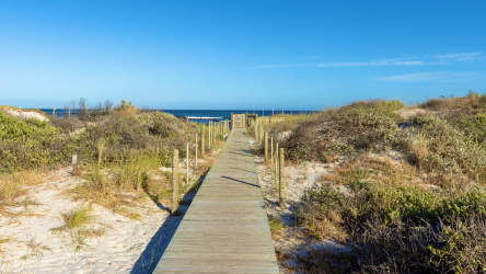 whaleview - 4
